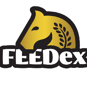 Pasza dla młodych koni - Suplementy dla kotów - Feedex
